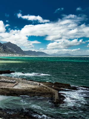 Hermanus Tour